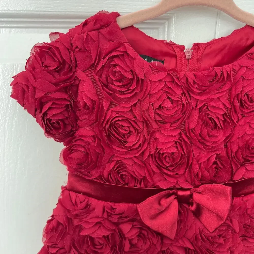 Biscotti Collzioni Standing Ovation Red Floral Fancy Lined Dress - 24 months